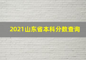 2021山东省本科分数查询