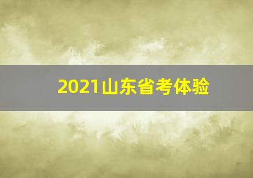 2021山东省考体验