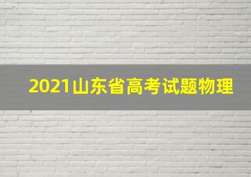 2021山东省高考试题物理