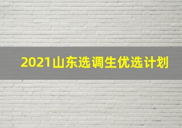 2021山东选调生优选计划