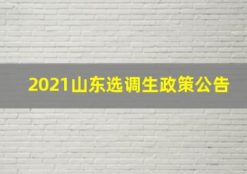 2021山东选调生政策公告