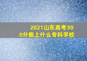 2021山东高考300分能上什么专科学校