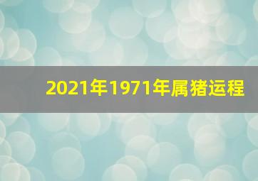 2021年1971年属猪运程