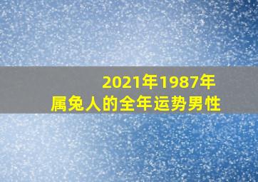 2021年1987年属兔人的全年运势男性