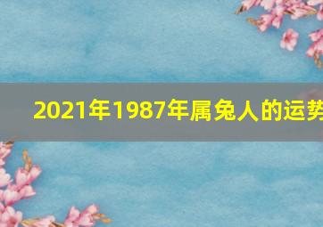 2021年1987年属兔人的运势