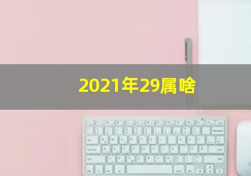 2021年29属啥