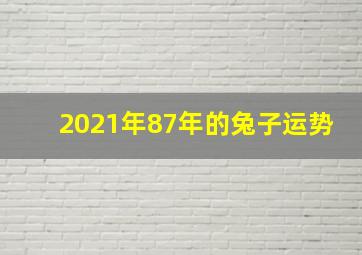 2021年87年的兔子运势