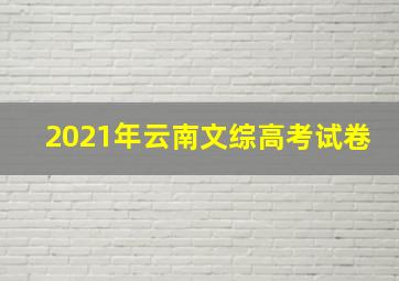 2021年云南文综高考试卷