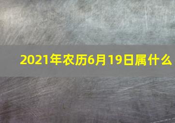 2021年农历6月19日属什么