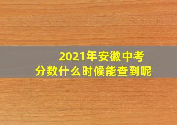 2021年安徽中考分数什么时候能查到呢