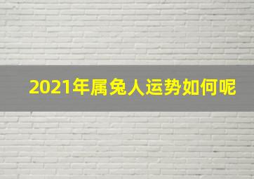 2021年属兔人运势如何呢