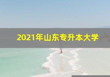 2021年山东专升本大学