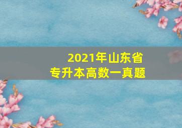 2021年山东省专升本高数一真题