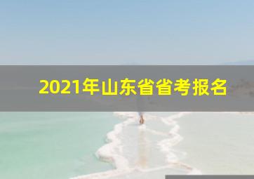 2021年山东省省考报名