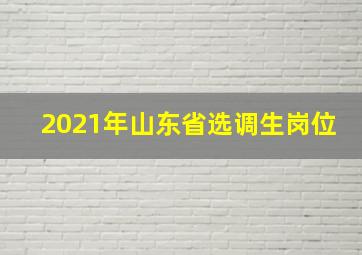 2021年山东省选调生岗位