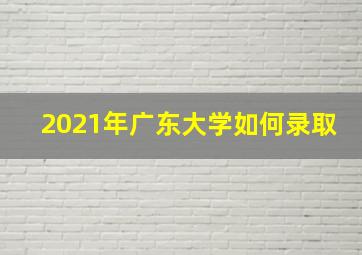 2021年广东大学如何录取