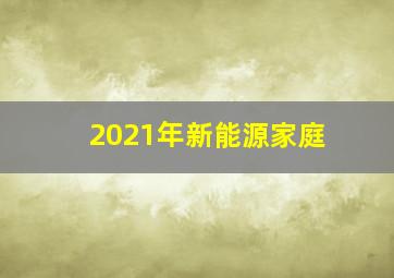 2021年新能源家庭