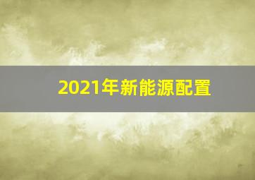 2021年新能源配置