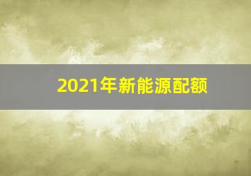 2021年新能源配额