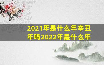 2021年是什么年辛丑年吗2022年是什么年