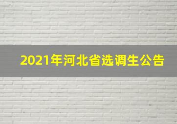 2021年河北省选调生公告