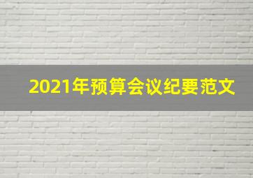 2021年预算会议纪要范文