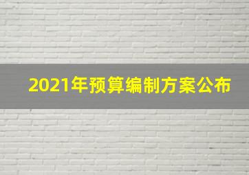 2021年预算编制方案公布