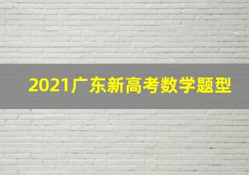 2021广东新高考数学题型