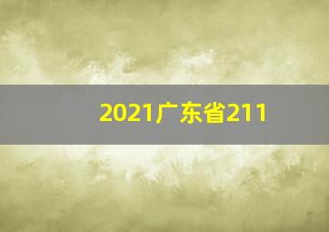 2021广东省211