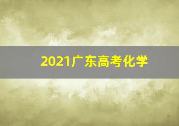 2021广东高考化学