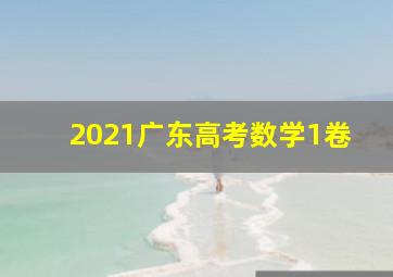 2021广东高考数学1卷