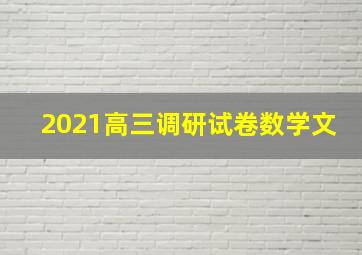 2021高三调研试卷数学文