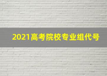 2021高考院校专业组代号