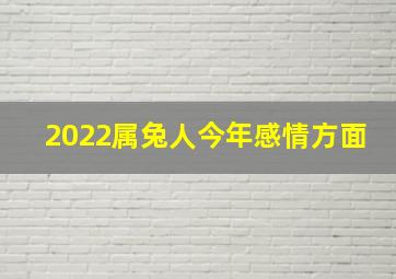 2022属兔人今年感情方面