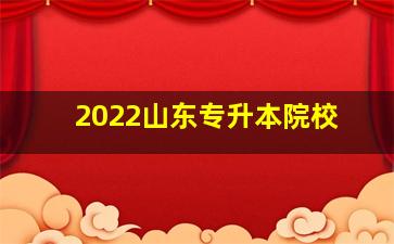 2022山东专升本院校