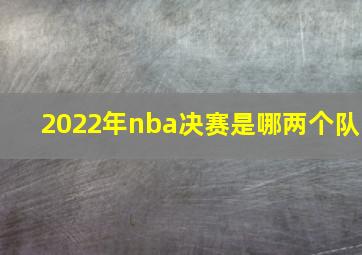 2022年nba决赛是哪两个队