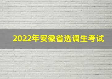 2022年安徽省选调生考试