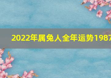 2022年属兔人全年运势1987