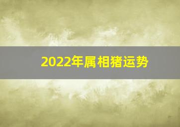 2022年属相猪运势