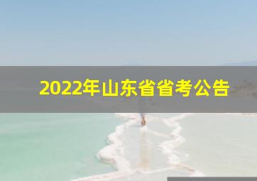 2022年山东省省考公告