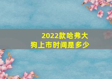 2022款哈弗大狗上市时间是多少