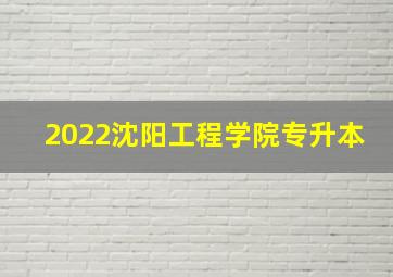 2022沈阳工程学院专升本