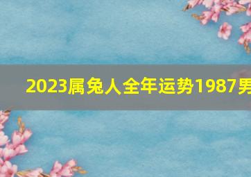 2023属兔人全年运势1987男