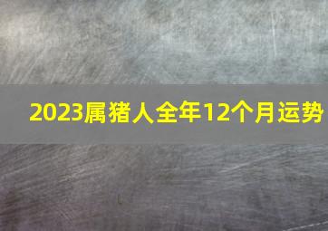 2023属猪人全年12个月运势