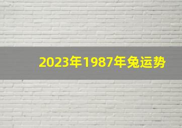 2023年1987年兔运势