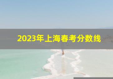 2023年上海春考分数线