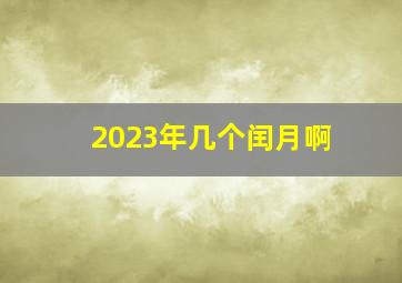 2023年几个闰月啊