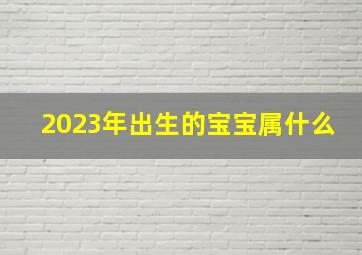 2023年出生的宝宝属什么