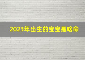 2023年出生的宝宝是啥命