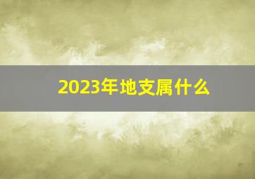 2023年地支属什么